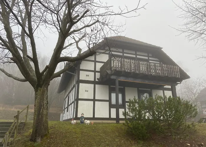 Mimo Direkt Am Waldrand * Frankenau